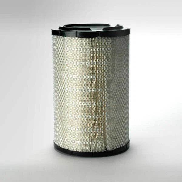 Donaldson P821938 Air Filter