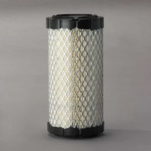 Donaldson P822686 Air Filter